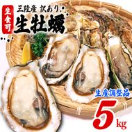 訳あり 数量限定 生産調整品 生食 殻付き 牡蠣5kg [koku013]