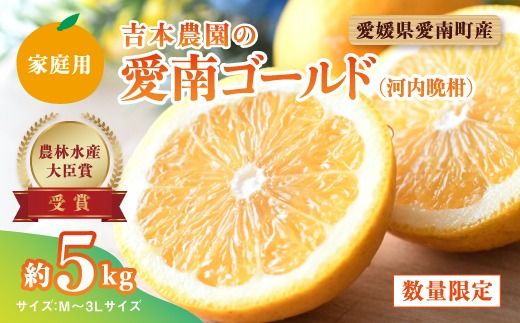 【先行予約】吉本農園の愛南ゴールド（河内晩柑）家庭用約5kg　＜柑橘 希少 果物 国産 フルーツ みかん 蜜柑  家庭用 和製 グレープフルーツ ブランド 果実 ビタミン 愛媛県 鬼北町 ＞ ※2025年4月上旬～8月上旬頃に順次発送予定