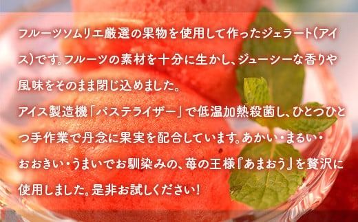 あまおうを使用した フルーティーで 濃厚あまおうジェラート 1000ml　先行受付　2024年12月中旬以降順次発送