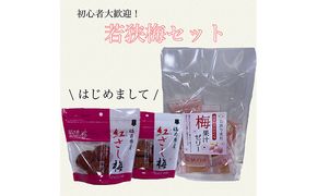 初心者大歓迎!若狭梅はじめましてセット　目白大学の学生が考案、その8 梅干し お菓子 ゼリー ジュレ 