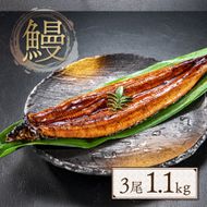 うなぎ 蒲焼 特大サイズ 肉厚 約 1.1kg 3尾 タレ・山椒付 茶葉蒸し [大黒物産 福岡県 宇美町 um40bak830001] 鰻 ウナギ 小分け うなぎ蒲焼 鰻蒲焼き 訳あり 蒲焼き かば焼き 茶葉蒸しうなぎ 真空パック 個包装 冷凍 unagi