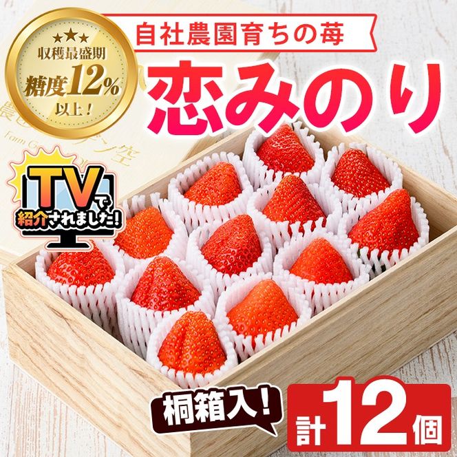 yvszs\tI2026N1ȍ~\聄˔IД_Y ݂̂(v12)  v Д_ ʕ t[c C`S   ݂̂ p Mtg ˔ fU[g Ԍy_K[fzakn026-10