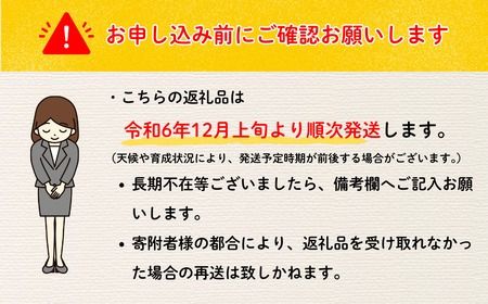 【先行予約】 【訳あり】サンふじ 約3kg（2024年産） (Z-07)