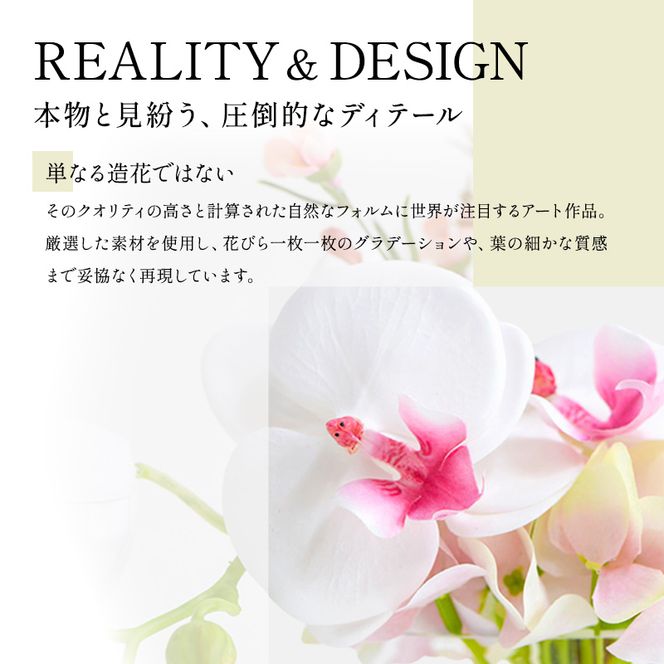エミリオロバ　仏花セットB　ファレノプシスリップピンクS 2個セット