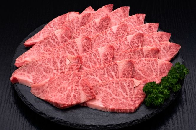 訳あり 肉 博多和牛 ヒレ焼肉 600g [久田精肉店 福岡県 宇美町 um40bsi440002] 訳アリ 牛肉 牛 ヒレ肉 焼肉 ヘルシー 冷凍