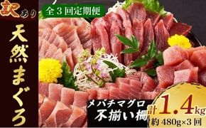【 3回定期便 】訳あり 天然メバチマグロ 480g  (不揃い柵) メバチマグロ めばちまぐろ めばち メバチ まぐろ マグロ 赤身 鮪 サク 柵 中トロ 天然 天然まぐろ 天然マグロ 刺身 あかみ お刺身 食べ比べ 海鮮丼 丼 魚 さかな 新鮮 高知 室戸 冷凍 小分け 海鮮