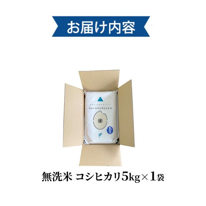 米 無洗米 令和7年産 コシヒカリ 5kg×1 秋田県 にかほ市 お米 こめ