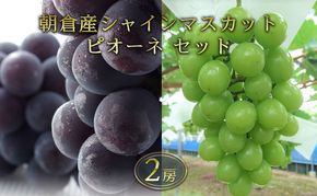シャインマスカット ピオーネ セット 2房 化粧箱入り ブドウ 葡萄 デザート フルーツ 果物 (有)ティース 配送不可：離島 