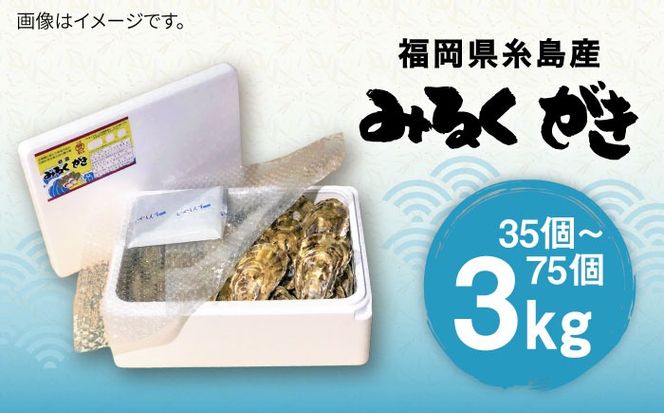 加熱用 みるくがき 3kg 殻付き 活牡蠣 糸島市 / 豊久丸 ブランド/カキ/牡蛎[AEJ005]