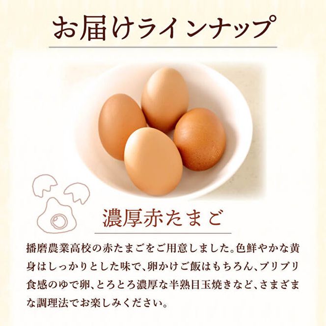 加西えぇもん『極上卵かけごはんボリュームセット』 お米 醤油 しょうゆ 