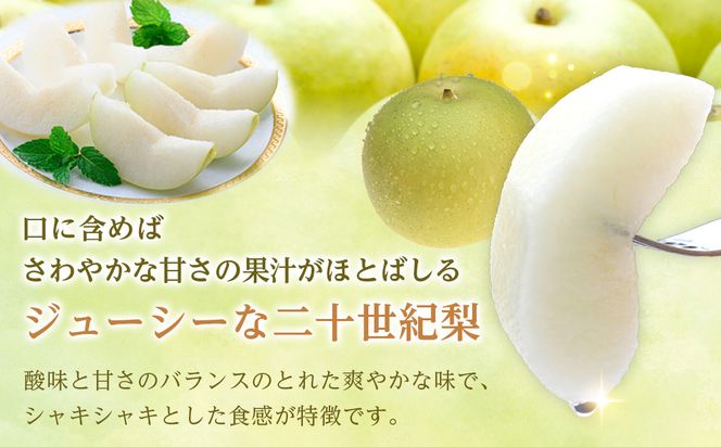 1280.【2026年9月発送】二十世紀梨　4ｋｇ 313726_CP002