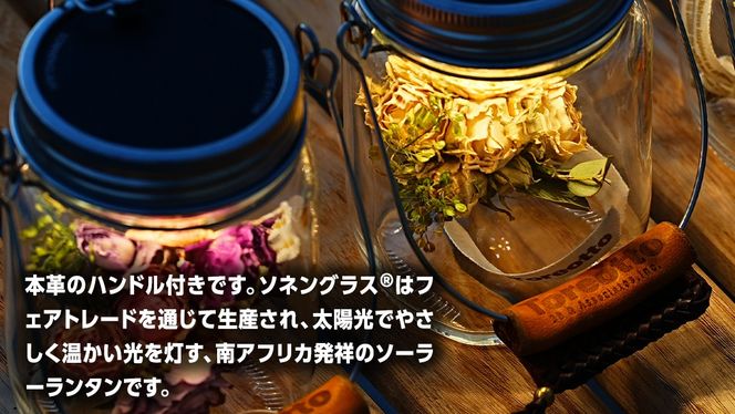 ソネングラス 38explore 箱付き sonnenGlass sonnenglas mini 38explore toreotto38 38kenkyujo8