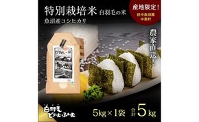 【通年受付】≪令和8年産≫ 農家直送！魚沼産コシヒカリ特別栽培「白羽毛の米」精米(5kg×1袋) 5kg お米 白米