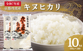 令和7年産 京都丹波産キヌヒカリ 10kg　米 ごはん きぬひかり