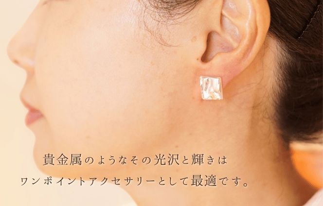 Dichroic(ダイクロ)ガラスピアス(シルバー)【道の駅むなかた】_HA1813-2C
