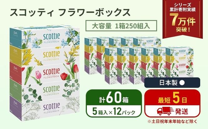 ティッシュ スコッティ フラワーボックス 60箱 ( 5箱 × 12パック) 