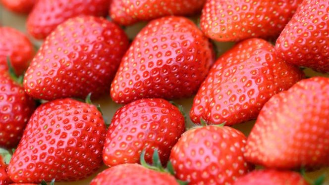 【 先行予約 】 茨城県品種 いばら キッス ( 2パック × 1箱 )【 2026年1月から発送開始 】 ( 茨城県共通返礼品 : 常陸太田市 ) 約 260g × 2 パック いばらキッス いばらきっす いちご 数量限定 果物 くだもの フルーツ 苺 イチゴ 期間限定 [ES002us]