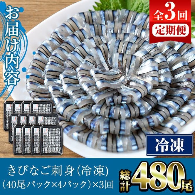 ＜定期便・全3回(冷凍便)＞鹿児島県産！阿久根のきびなごお刺身セット(計480尾・40尾×4P×3回) 冷凍 魚介類 海鮮 魚 きびなご キビナゴ 刺身 さしみ 刺し身 青魚 子魚 小分け【椎木水産】akn054-14
