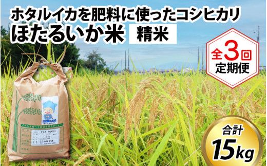 ほたるいか米（精米５kg）×3回 計15kg【3ヶ月定期便】