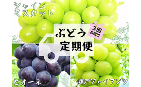 【産地直送】※2026年の予約です！※ 岡山 シャインマスカット 入り定番品種 定期便 3回コース【2026年9月下旬～発送予定】離島発送不可 / 数量限定 葡萄 ぶどう ブドウ 果物 マスカット ピオーネ 瀬戸ジャイアンツ 新鮮 当日出荷 林ファミリー 真庭市【hfbd-tkb017-02】