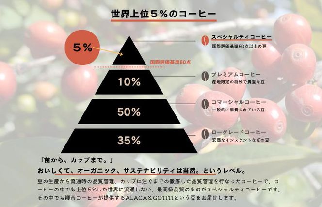 G1402 スペシャルティコーヒー焙煎豆 中深煎り 300g