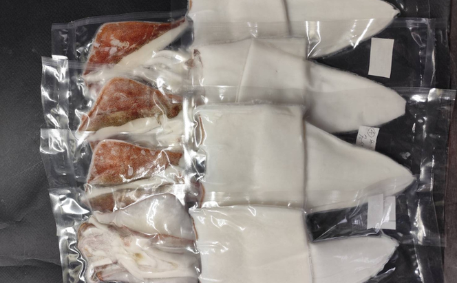 京都宮津産 新鮮ヤリイカ 刺身用 冷凍 約1kg │ 日本海 鮮度 いか 刺し おつまみ いか刺身 烏賊 刺身 父の日 ギフト 天橋立