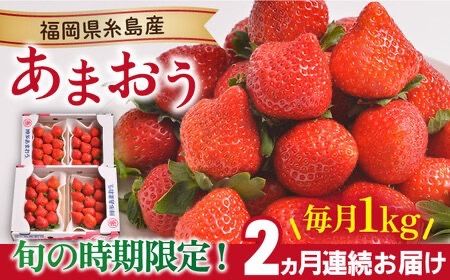 [先行予約][全2回定期便]糸島産[冬] あまおう 4パック 毎月計1kg [2025年12月上旬以降順次発送]糸島市 / 南国フルーツ株式会社 [AIK024] いちご ギフト イチゴ 食べ比べ 苗 タルト フルーツ 果物