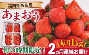 【先行受付】【全2回定期便】 糸島産【冬】 あまおう 4パック 毎月計1kg 【2026年12月上旬以降順次発送】 糸島市 / 南国フルーツ株式会社 [AIK024]