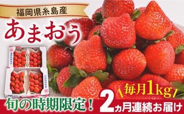 [全2回定期便][2023年12月上旬より順次発送] 糸島産[冬] あまおう 4パック 毎月計1kg 糸島市 / 南国フルーツ株式会社 