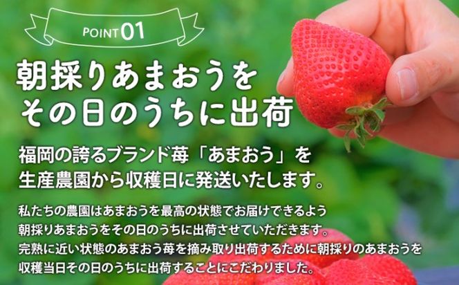 いちご 2027年2月下旬より発送 特選あまおう 400g※配送不可：離島 