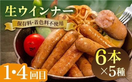 【全6回定期便】 ウインナー / ハンバーグ / ハム 月替り セット 糸島市 / 志摩スモークハウス 生ハム ベーコン [AOA039] 定期便 生 ウインナー ソーセージ ハンバーグ お肉