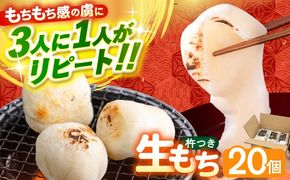 【順次発送】築上町産 本格 杵つき 生もち 20個 (10個×2パック)《築上町》【アルク農業サービス合同会社】 餅 お餅 もち[ABAB007]