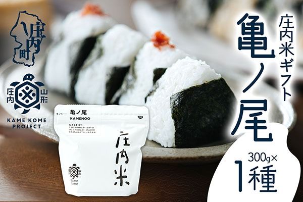 【令和8年産】庄内米ギフト 亀ノ尾 300g×1袋 ブランド米 米 国産 単一原料米 亀の尾 山形 庄内平野 庄内 山形庄内かめこめプロジェクト