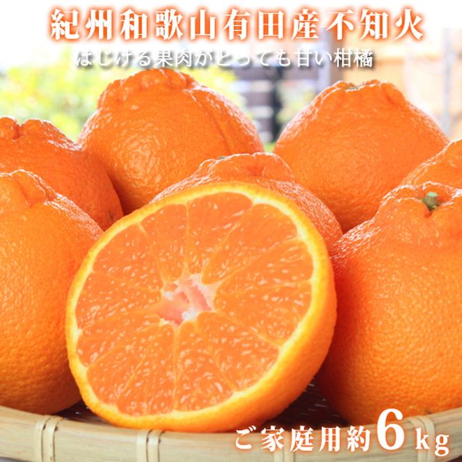 【ご家庭用訳有り】紀州有田産不知火(しらぬひ)約6kg