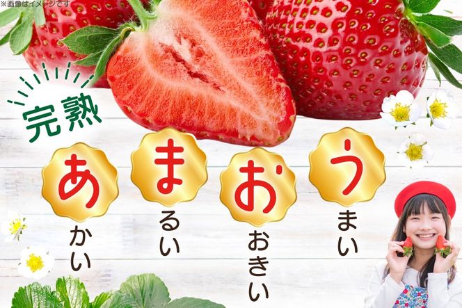 期間限定発送】 いちご 完熟 あまおう 約270g 4p [mhshops 福岡県