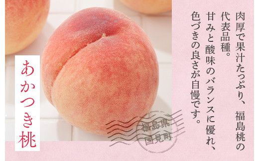 透過式光センサーあかつき桃 特秀3kg相当 9玉～11玉＜ ふくしま未来農業協同組合 ＞ | ふくしま 桃 福島 もも 国見 モモ ※2026年7月中旬～8月上旬頃に順次発送予定 ※沖縄・離島への配送不可