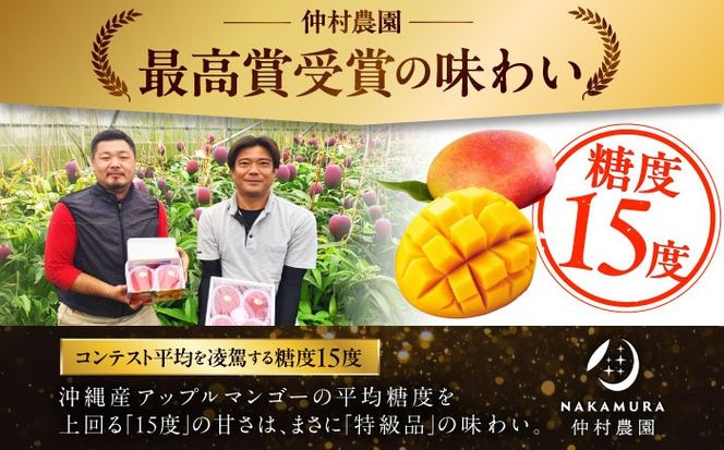 【先行予約 2026年発送 予約受付】【贈答用】仲村農園の完熟アップルマンゴー1kg マンゴー 沖縄 果物 フルーツ ギフト 沖縄市 / 仲村農園[BCCU002]
