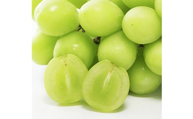 ぶどう 早期受付 極上追熟 シャイン マスカット 1房 650g以上 「光明」桐箱入り ブドウ 葡萄  岡山県産 国産 フルーツ 果物 ギフト 桃茂実苑 果物類 