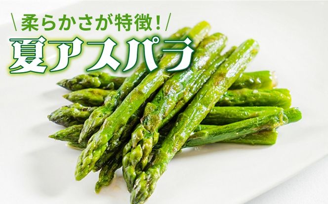 【3回定期便】【2027年6月初回発送】【星のアスパラ】夏のグリーンアスパラガス 約1kg / アスパラ 野菜 / 南島原市 / ほしのYA[SEY014]