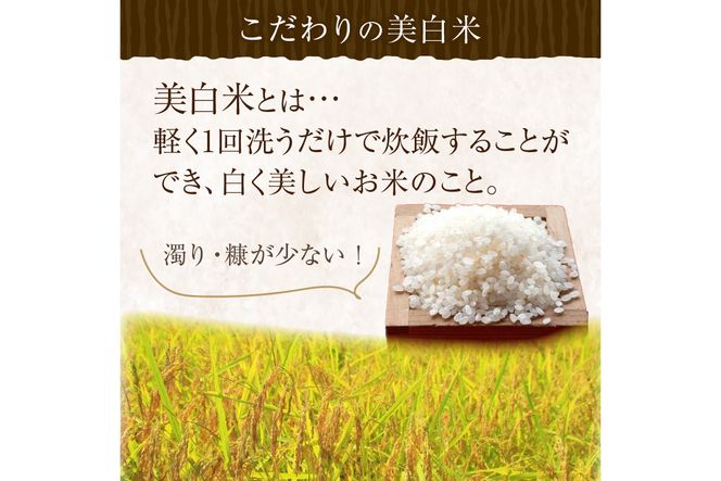 令和7年産 丹後こしひかり 特別栽培米 5kg　MU00054