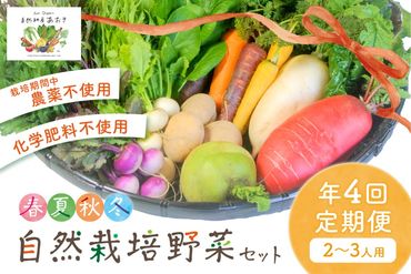 【年4回定期便】春夏秋冬自然栽培野菜セット(年4回)2～3人用　AB00001