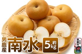 【令和8年度 早期受付】 南水 約5kg 10月中旬～11月中旬発送 梨 旬の果物 ギフト 秋田県 男鹿市 男鹿ファーム直売所|23_ofc-040501