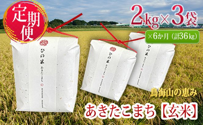 米 お米 《定期便》6kg×6ヶ月 秋田県産 あきたこまち 玄米 2kg×3袋 神宿る里の米「ひの米」（お米 小分け）