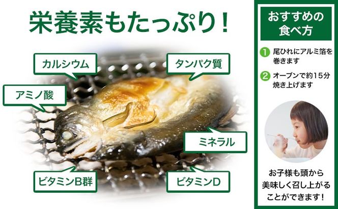 すだち鮎一夜干し 20~25cm×5枚 冷凍 有限会社岩崎商店 《30日以内に出荷予定(土日祝除く)》│ 徳島県産 あゆ アユ 魚 魚介 川魚 塩焼き 甘露煮 徳島県 佐那河内村---sanagouchi_ist_1_5mi---