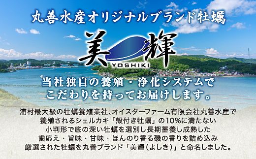 【先行予約／2026年12月より順次発送】I-55生食用浦村牡蠣１５個入りセット