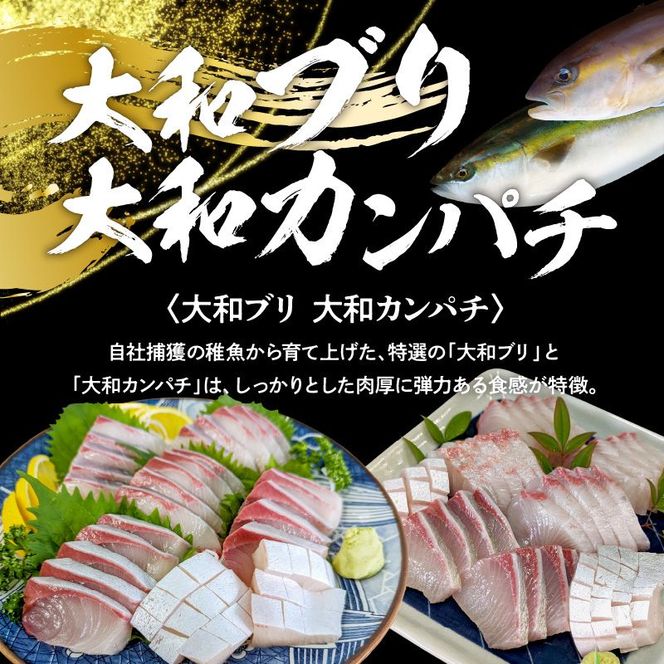 高級 大和ブリ 大和カンパチ お造り 計8人前 計640g 真空 冷凍　N072-YA667