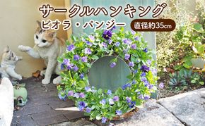 花 サークルハンキング ビオラ パンジー 直径35cm 植物 インテリア ガーデン 