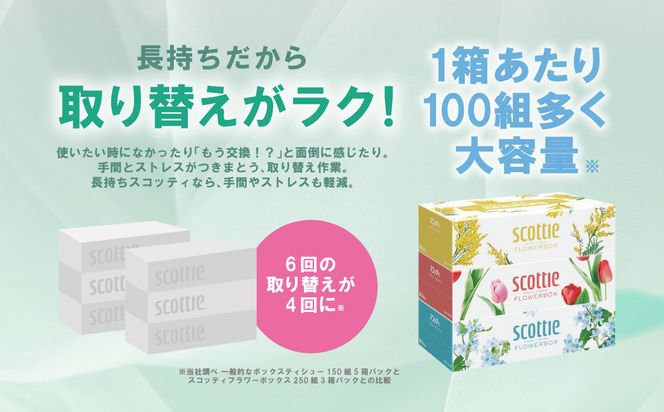【スコッティ】ティシュー フラワーボックス 250組 5箱パック×2セット 合計10箱 ティッシュ 日用品 生活必需品