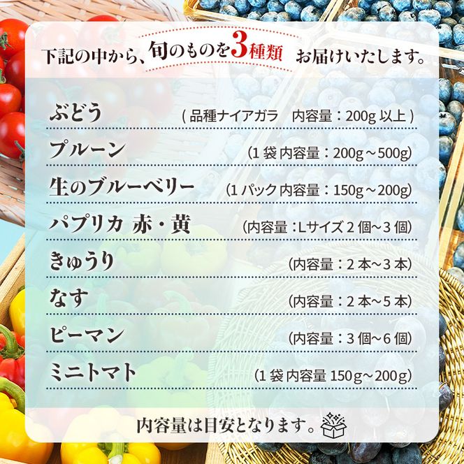 先行受付/7月下旬発送 ［ 旬のフルーツ＆野菜詰め合わせ 3種以上 ］【 ぶどう プルーン ブルーベリー パプリカ きゅうり なす ピーマン ミニトマト 野菜 果物 フルーツ 新鮮 北海道産 仁木町産 北海道野菜 】[株式会社NATICA]