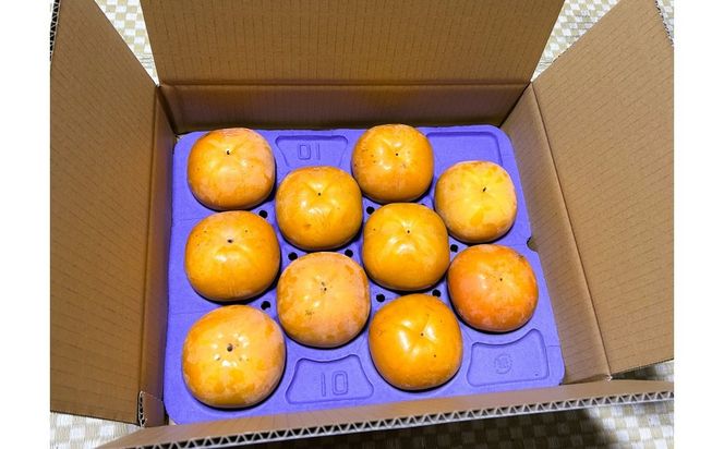 太秋柿（たいしゅうがき）約4.5kg（目安：9～12玉）　※2026年11月～発送